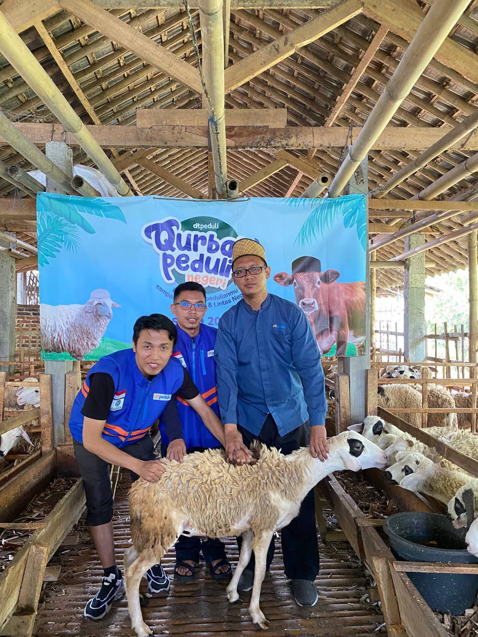 Sambut Iduladha 1445 H, DT Peduli Jateng Siapkan Hewan Qurban Terbaik untuk Para Calon Muqorib